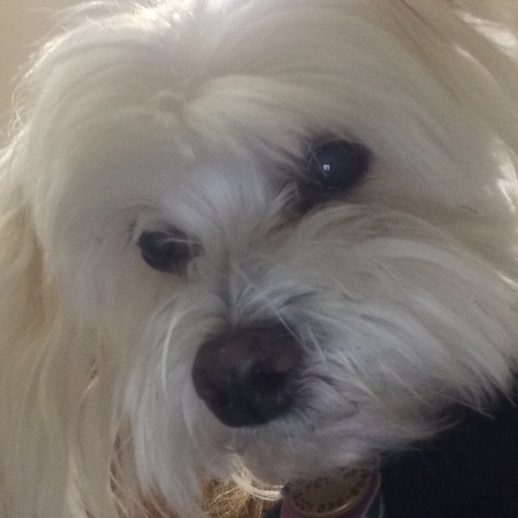 Meet your Posher, Mark - Picture 1 of 1